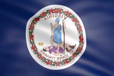 Virginia flag waving